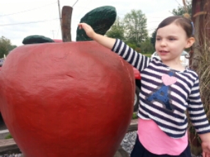 20151009_111941.jpg image