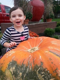 20151009_112019.jpg image