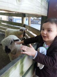 20151010_131533.jpg image