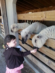 20151010_133703.jpg image